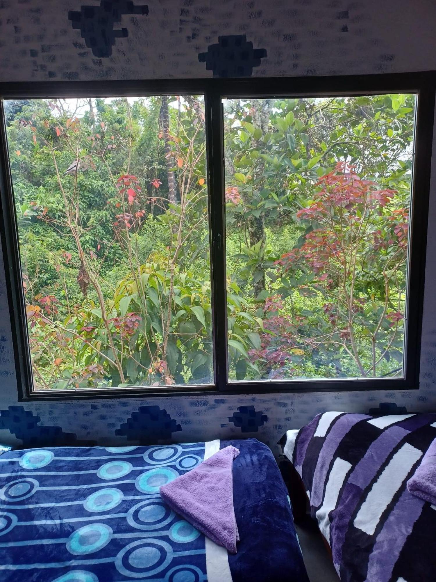Hospedaje Pa'Gaia San Rafael (Antioquia) Exterior foto
